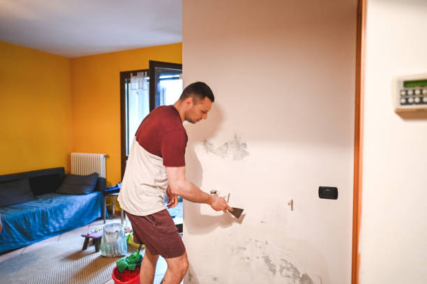  Salton City, CA Mold Removal Pros